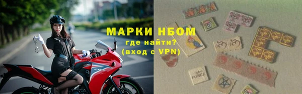 стаф Алексин