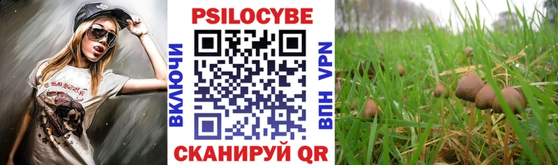 Галлюциногенные грибы мухоморы  где продают наркотики  Абакан 